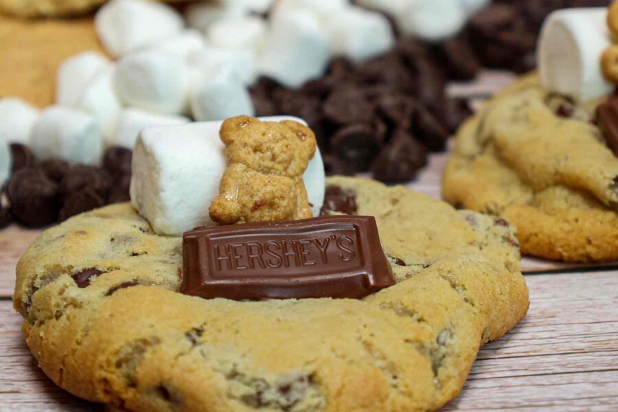 Gourmet chocolate chip cookie topped with chocolate square, graham cracker bear and big marshmallow